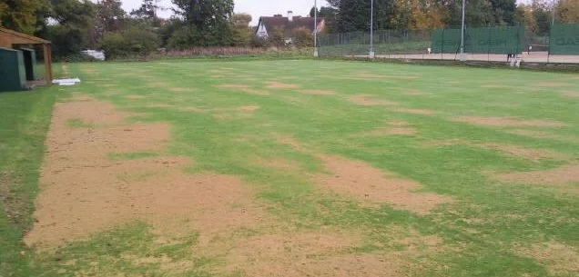 Letchworth Croquyet lawns a week after top dressing