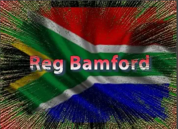 South African Flag with Reg Bamford's name superimposed